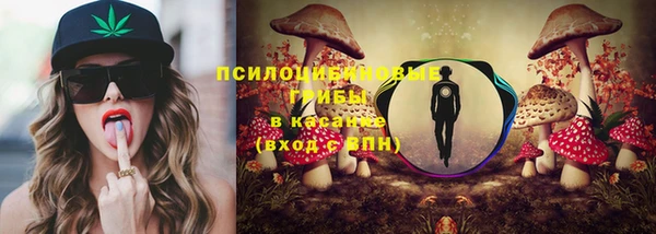 метадон Сатка